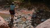 PICTURES/Zion National Park - Yes Again/t_Creek Crossing3.JPG